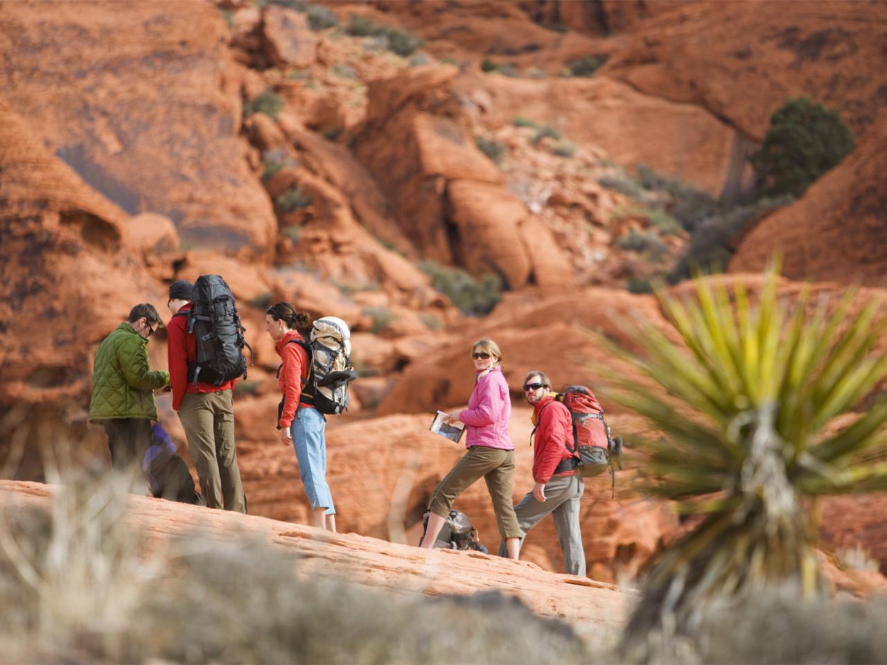 Machine a sous: une évolution au rythme des progrès technologiques